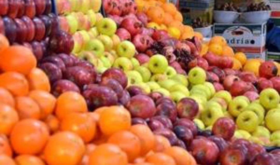 آغاز توزیع میوه شب عید از فردا در ایلام